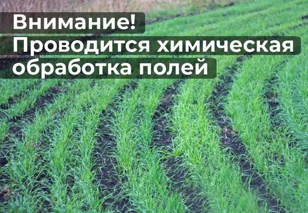 Обработка посевов.